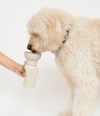 Springer | Water Bottle