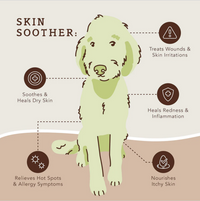 Natural Dog Co. | Skin Soother Stick 2oz