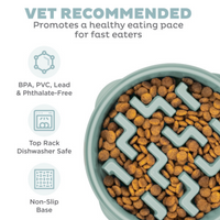 Outward Hound | Fun Feeder | Sage Notch