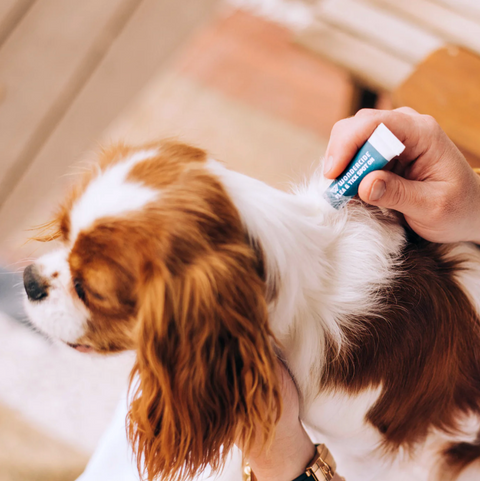Wondercide | Flea & Tick Spot On