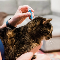 Wondercide | Flea & Tick Spot On