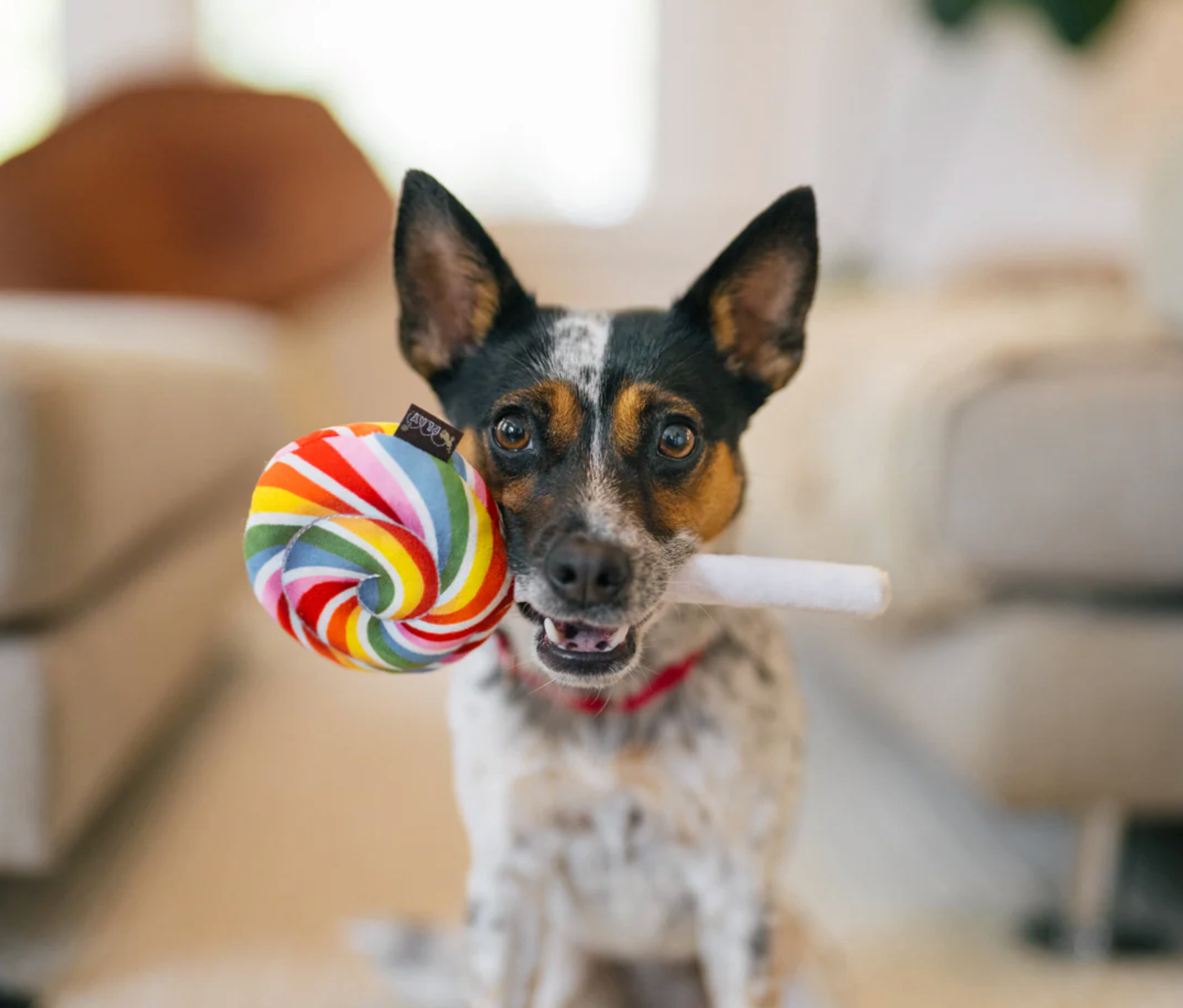 P.L.A.Y. | Snack Attack | Lollipop