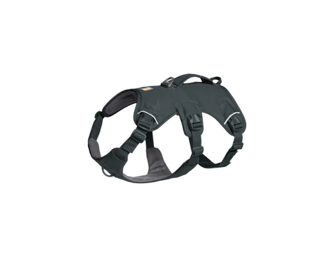 Ruffwear Web Master harness in Basalt Gray being worn by a dog during outdoor activity