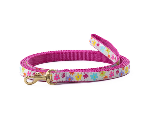 Up Country | Small Breed | Spring Fever