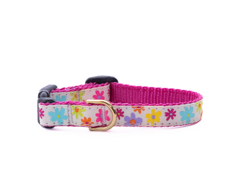 Up Country | Small Breed | Spring Fever
