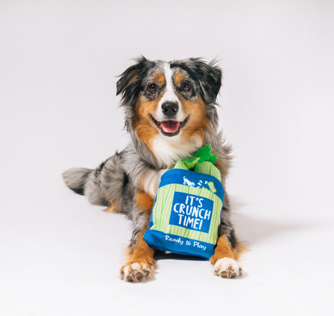 P.L.A.Y. | Celery Bag