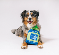 P.L.A.Y. | Celery Bag