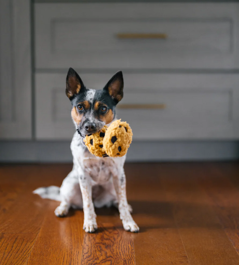 P.L.A.Y. | Snack Attack | Mini Cookies