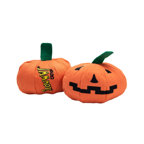 Yeowww! | Catnip Pumpkin