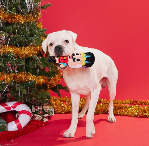 BARK | Buddy The Buttcracker