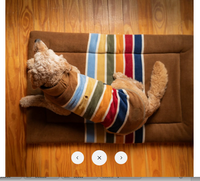 Pendleton | Fleece Vest | Joshua Tree