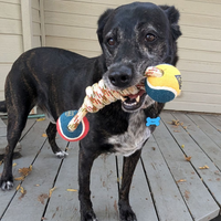 Pendleton | Toy | Lasso Rope