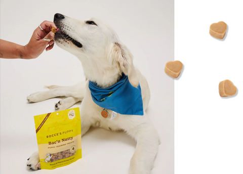 Bocce's Bakery | Training Bites | Bac'n Nutty Puppy