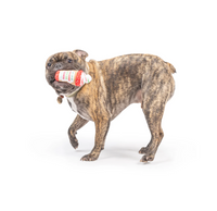 Tiny Tuff | Latte My Way