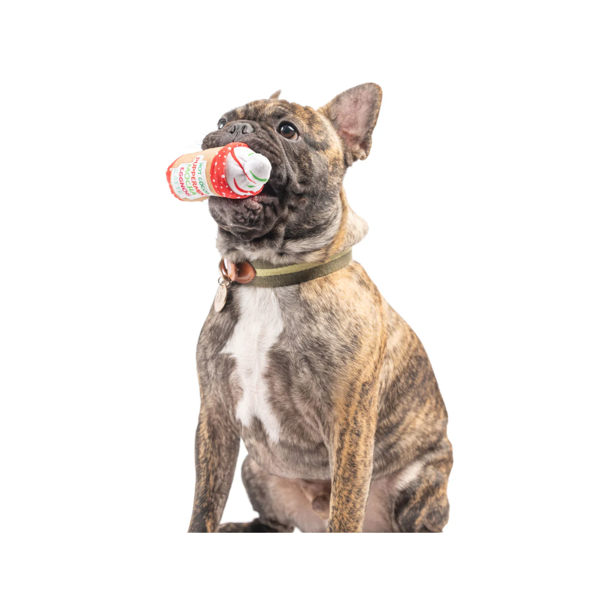 Tiny Tuff | Latte My Way