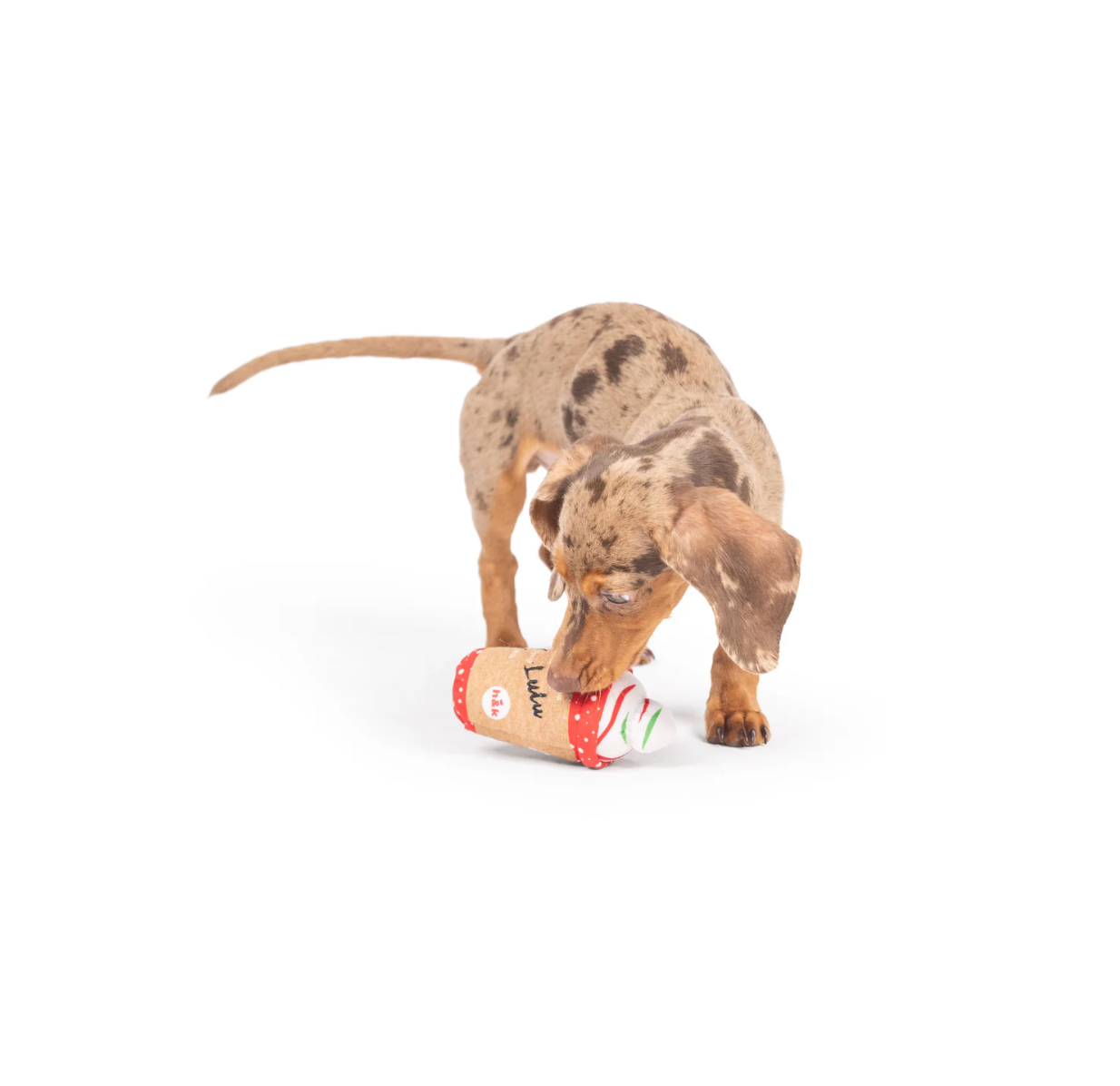 Tiny Tuff | Latte My Way