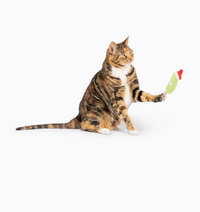 Dilly Claus Cat Toy