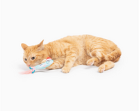 Cat playing with a toy fish on a white background