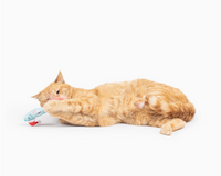 Orange cat playing with a toy on a white background