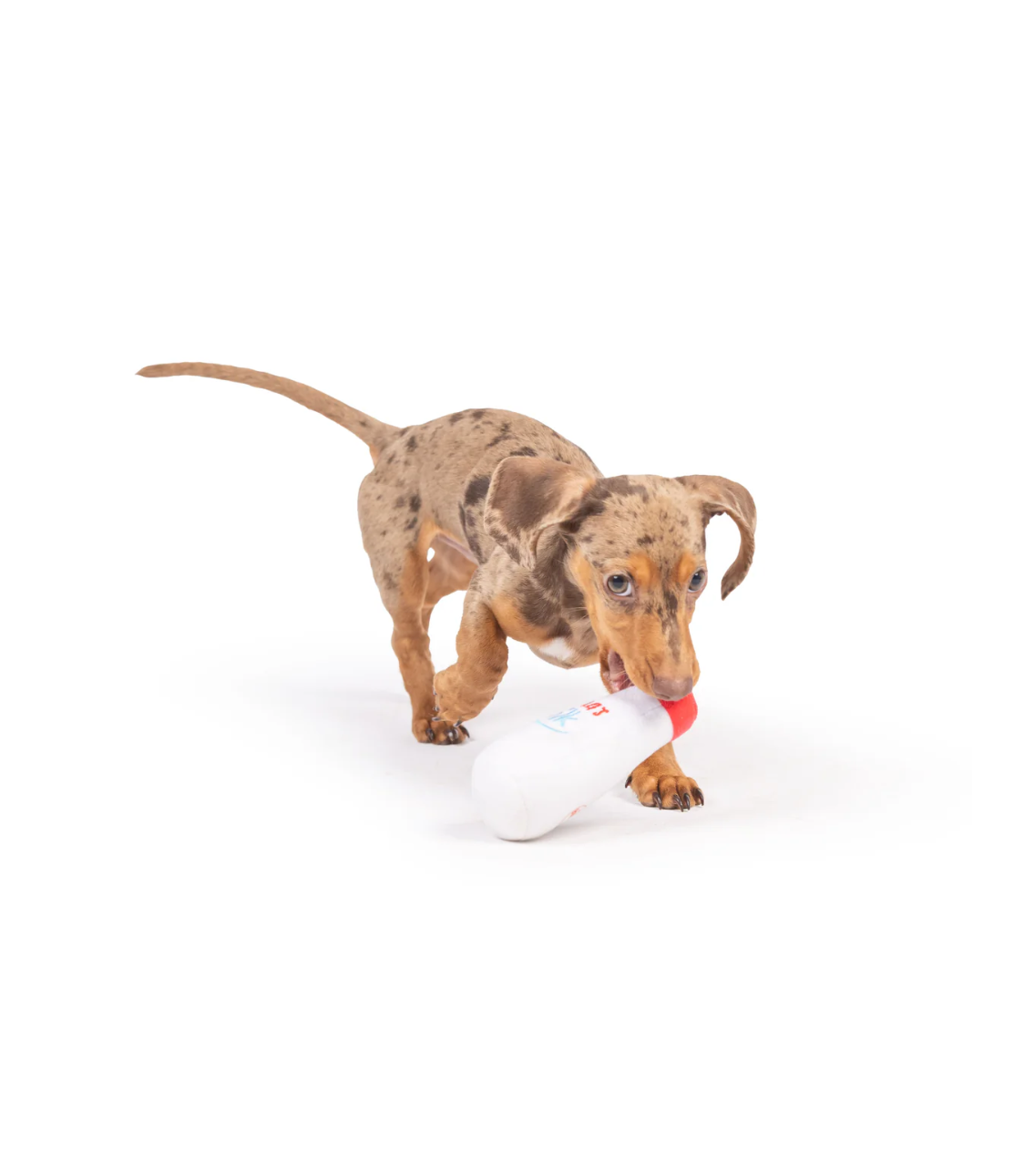 Tiny Tuff | Santa's Milk