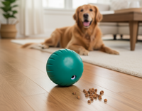 Woof | Forager | Walkabout