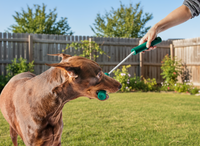 Woof | Forager | Nomchuck