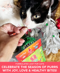 Plato Pet | Chicken & Catnip Treats