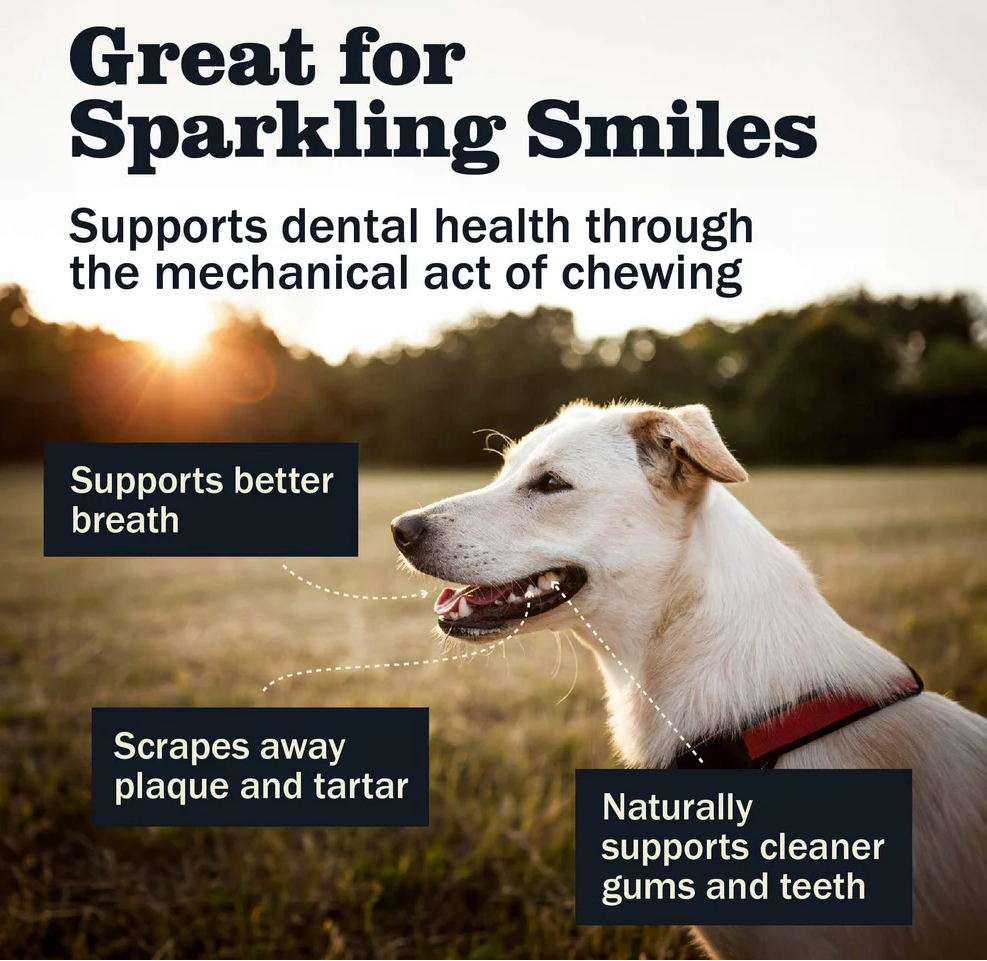 Redbarn | Bully Barbell