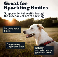 Redbarn | Bully Barbell