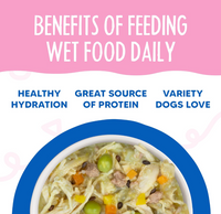 Weruva Grandma's Soup wet dog food can showing ingredient details and nutritional information on label
