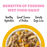 Weruva Awesome Belly chicken and rice wet dog food can showing ingredient details or nutritional information panel.