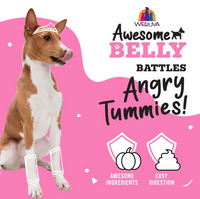 Weruva Awesome Belly chicken and veggie wet dog food can showing ingredient details and nutritional information panel.