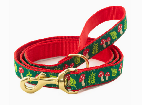 Up Country Mushrooms dog collar detail view showing colorful mushroom pattern on durable nylon webbing construction.