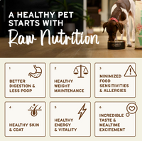 Primal Pronto Duck frozen raw dog food package showing nutritional benefits and feeding information on label.