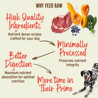 Primal | Freeze-Dried | Duck Nuggets