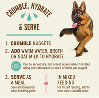 Primal | Freeze-Dried | Duck Nuggets