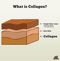 Redbarn | Bully Wrapped Collagen