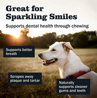 Redbarn | Collagen Stick