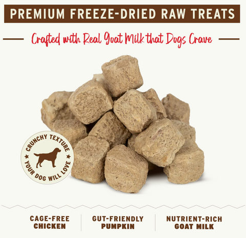Primal freeze-dried chicken and pumpkin dog treats package showing ingredient details and nutritional information.