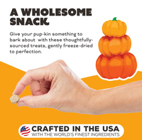 Primal freeze-dried chicken and pumpkin dog treats package showing ingredient list and nutritional information details.
