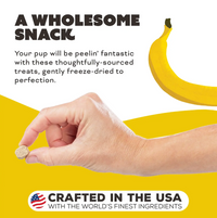 Primal freeze-dried chicken and banana dog treats package showing ingredient list and nutritional information details.