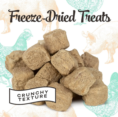 Primal freeze-dried chicken liver treats shown in detail revealing their natural brown color and crunchy texture.