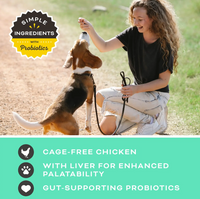 Primal freeze-dried chicken liver treats scattered on white surface showing individual crunchy brown pieces