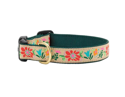 Dog collar with floral design on a beige background