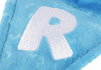 P.L.A.Y. Party Animal Birthday Banner with five colorful pennant flags shown in use during dog playtime