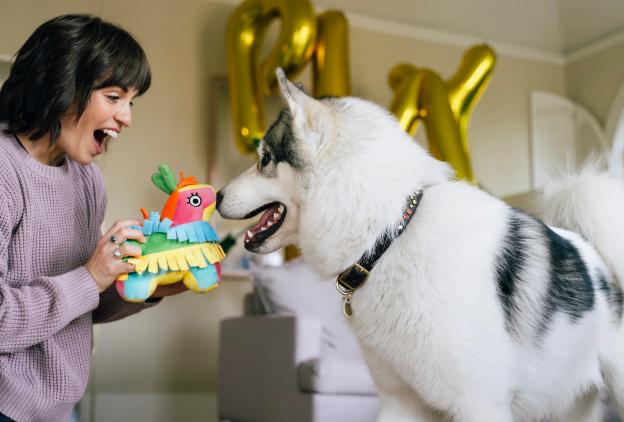 P.L.A.Y. Party Animal Piñata dog toy showing detailed construction and treat-dispensing openings for interactive play.