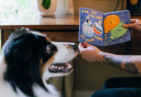 P.L.A.Y. Barkday Wishes interactive dog birthday card showing detailed construction with squeakers and treat pockets inside.