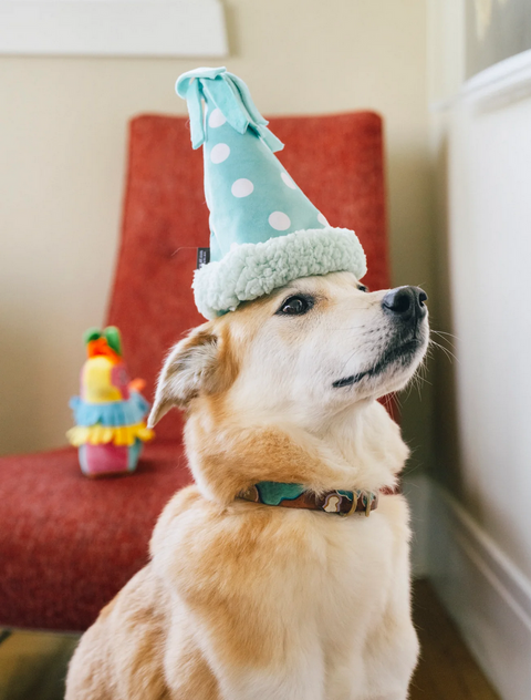 P.L.A.Y. Party Animal Birthday Hat shown from side angle revealing colorful design and interactive toy features.