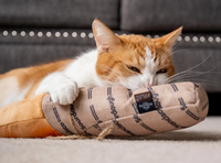 P.L.A.Y. Baguette Kicker cat toy packaging showing product details and organic certification information.