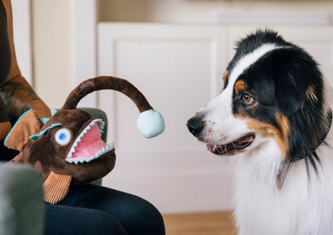 P.L.A.Y. Ocean Buddies Angler Fish plush dog toy showing textural details and interactive elements from side angle.